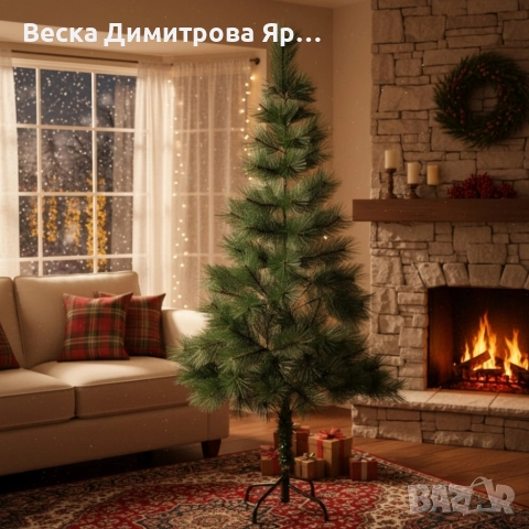 Коледно борче със зелени връхчета