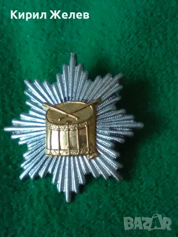 СТАРА ПОСРЕБРЕНА РЯДКА ВОЕННА НАГРАДНА ЗНАЧКА С НОМЕР И ПЕЧАТ ЗА КОЛЕКЦИОНЕРИ 37917, снимка 11 - Колекции - 40490489