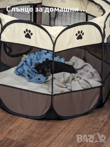 Клетка за домашни любимци, снимка 5 - Други стоки за животни - 52421370