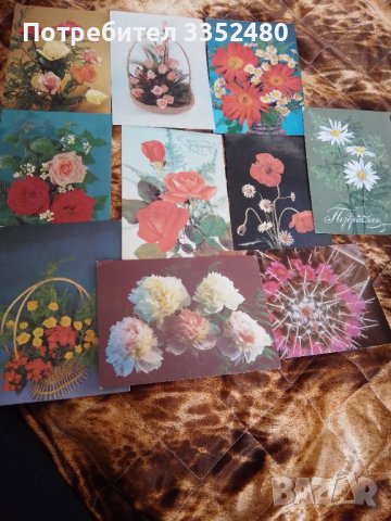10 броя поздравителни картички стари цветя , снимка 1 - Колекции - 42244550