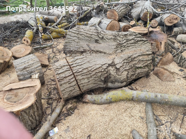 Продавам орехов материал