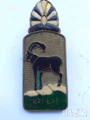 ЩИПКА ЗА ПАРИ БРОНЗ ЕМАЙЛ