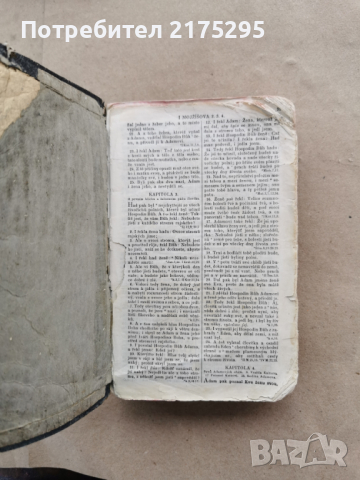 Библия на чешки(словашки?)-началото на 20 в., снимка 3 - Специализирана литература - 44821827