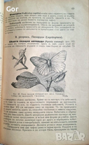 100-годишна антикварна ценност: „Зоология“ (1926) – Изд. Хр. Г. Данов, снимка 4 - Нумизматика и бонистика - 53723683