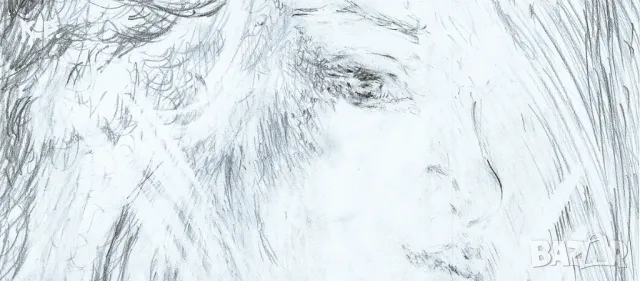 Рисунка с молив, копие на картина, печат върху картон, снимка 3 - Картини - 45914239