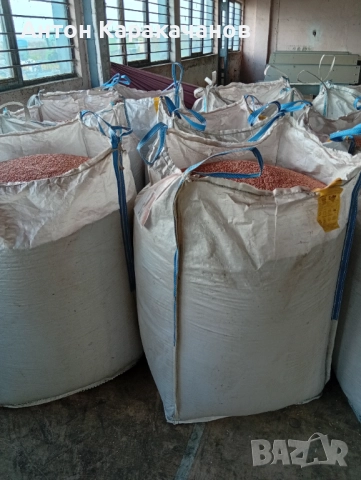 Продавам семе ечемик., снимка 4 - Сортови семена и луковици - 52515929