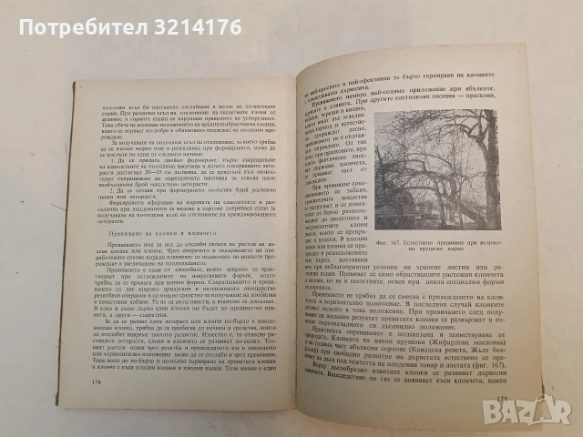 Нагледно ръководство по овощарство. Второ преработено и допълнено издание - Цочо Спасов, снимка 4 - Специализирана литература - 53581681