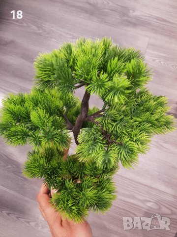 Бонсай , Бонзай, снимка 9 - Декорация за дома - 39304703