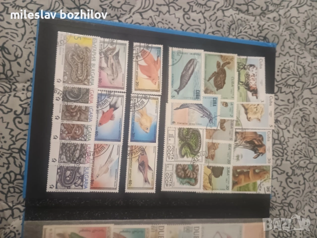 Класьор с марки, снимка 7 - Филателия - 53253096