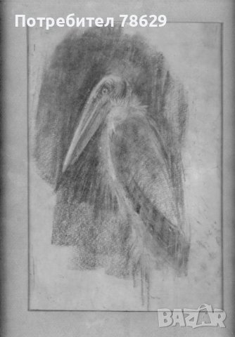 илия петров - рисунка. неподписана, в рамка