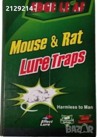 Лепящ капан за мишки , снимка 1