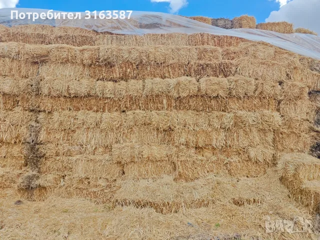 Бали сено и слама, снимка 7 - За селскостопански - 56303164