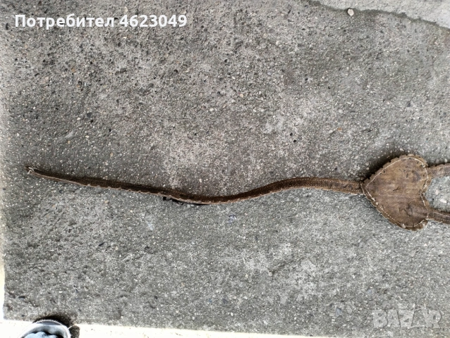 Нагръдник за кон с пафта, снимка 6 - Антикварни и старинни предмети - 53759229