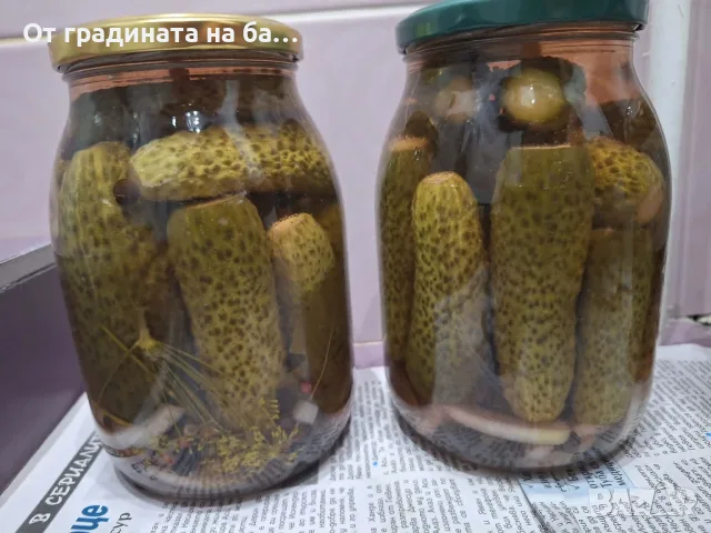 Кисели краставички 1 литър буркан, снимка 2 - Домашни продукти - 55770239