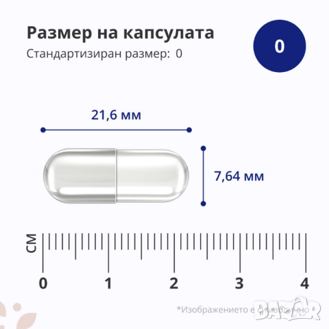 БИО Ашваганда 500 мг Ashwagandha 500mg 240 капсули, снимка 5 - Хранителни добавки - 52297546