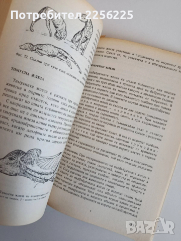 Анатомия и физиология на селскостопанските животни, снимка 5 - Специализирана литература - 53862663
