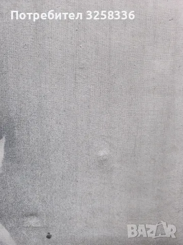 Картина проф. Стефан Алтъков , снимка 4 - Картини - 49830601