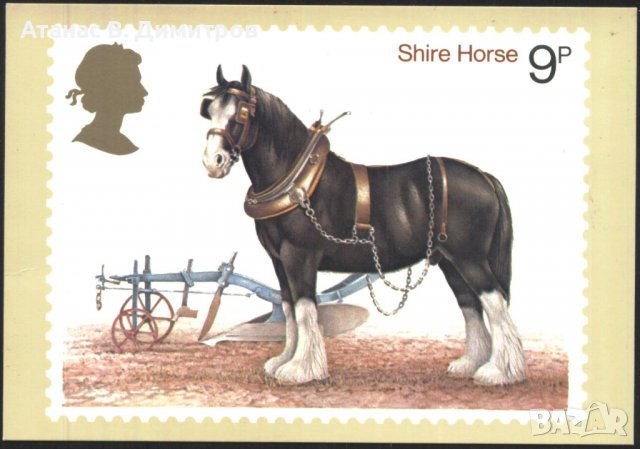 Пощенски картички Марки Коне 1978 от Великобритания, снимка 4 - Филателия - 39188989
