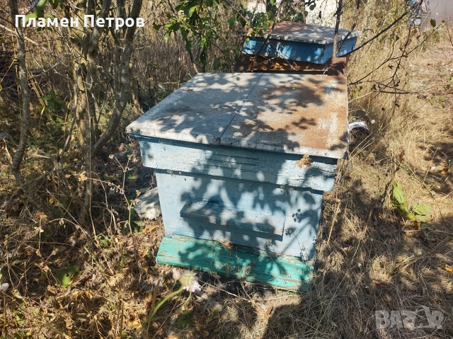 Кошери и магазини , снимка 5 - За пчели - 53787677