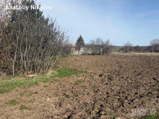 Парцел 4.2 дка с 3 ПУП на главен път – с. Недан, снимка 7 - Парцели - 53758245