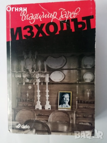 Владимир Зарев - Изходът