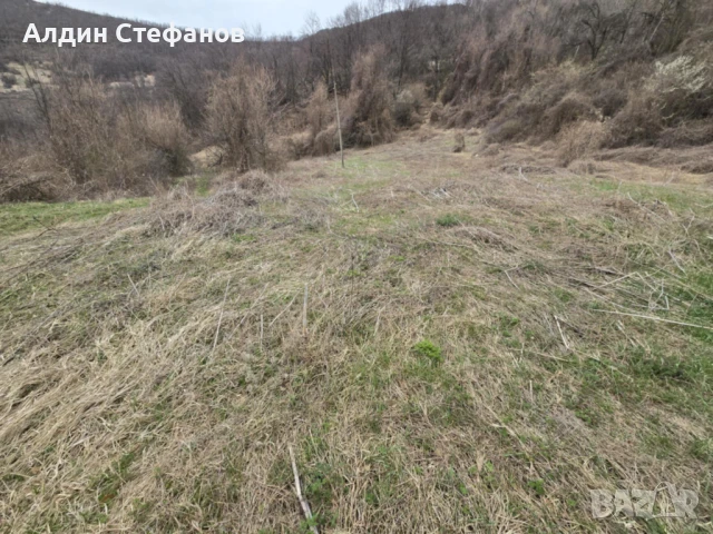 село Заселе Продавам голям парцел