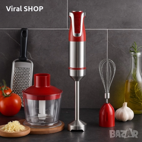 Пасатор 3 в 1 с чопър и бъркалка Royalty Line RL-ESMS800, снимка 1