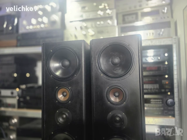 Тонколони 🔊 IQ Hifi 53124 + TED 4, снимка 3 - Тонколони - 50706390