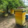 Пчелни семейства( кошери), снимка 4