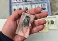 Деагостини колекция "Истински насекоми", снимка 4