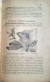 100-годишна антикварна ценност: „Зоология“ (1926) – Изд. Хр. Г. Данов, снимка 4
