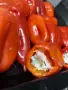 Постни пълнени чушки, снимка 3