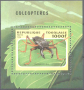 Чист блок Фауна Насекоми Бръмбари 1996 от Того, снимка 1 - Филателия - 36248136