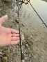 Фидер Fil Fishing AXEL PRO FEEDER 3.05м/ до 50гр , снимка 6