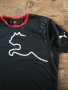 puma - страхотна мъжка тениска , снимка 1 - Тениски - 42081453