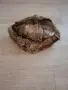 Дамско еко палто и шапка от зайче, снимка 5