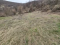 село Заселе Продавам голям парцел, снимка 1
