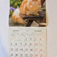 Стенен календар 2011 Котки, снимка 16 - Други - 38776717