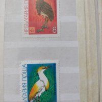Красива колекция български пощенски марки с птици, снимка 1 - Филателия - 39801227
