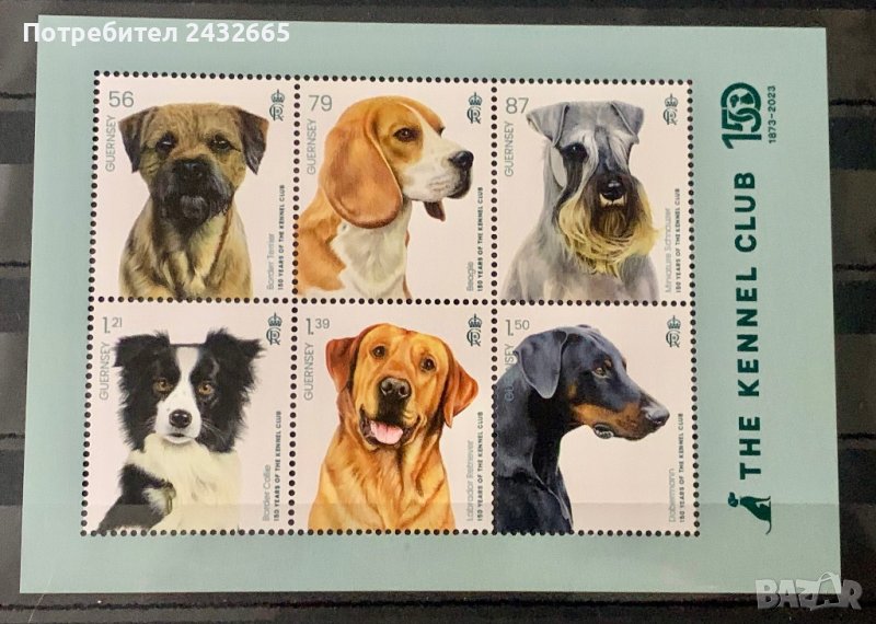 1781. Гърнси 2023 = “ Фауна. Кучета. 150 год. клуб “ Cennel ”, **, MNH , снимка 1