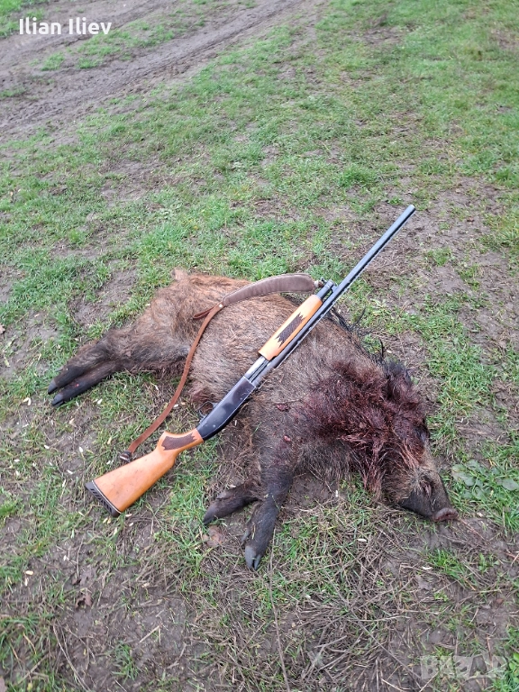 Мозберг 500, снимка 1