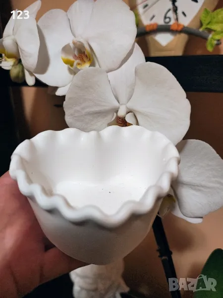 кашпа сърце, снимка 1