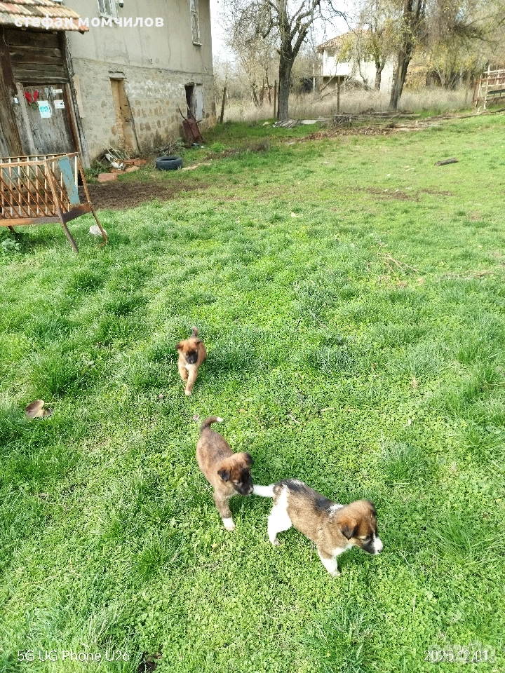 подарявам , снимка 1