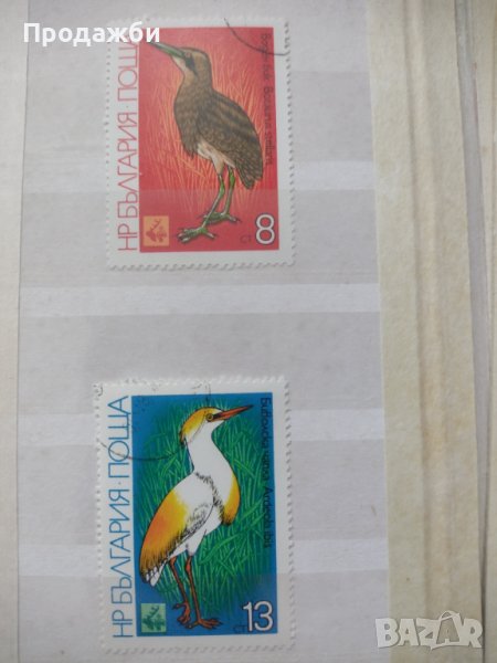 Красива колекция български пощенски марки с птици, снимка 1