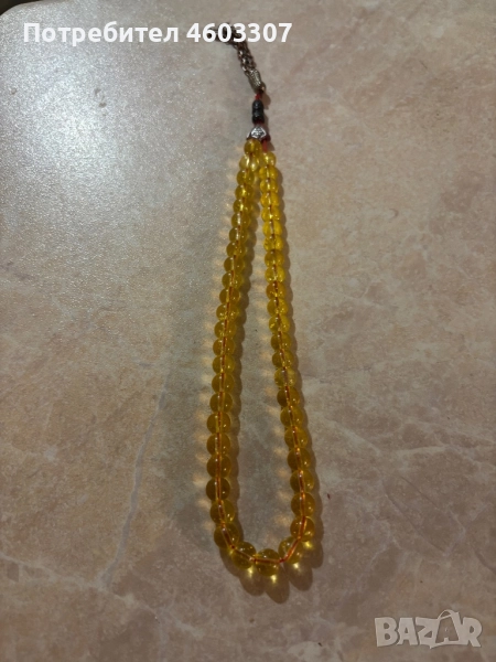 Broinica, снимка 1