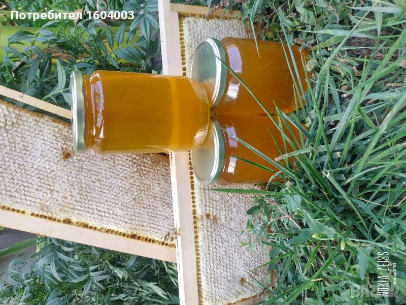 Пчелен мед.Нова реколта 2025, снимка 1