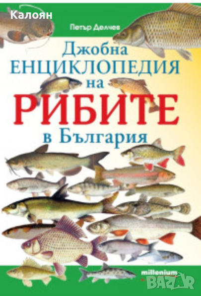  Петър Делчев - Джобна енциклопедия на рибите, снимка 1