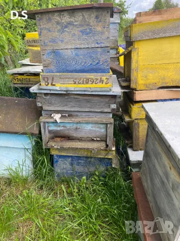 Продавам кошери , снимка 4 - За пчели - 50269935