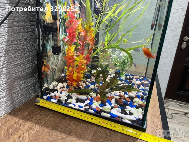 Аквариум, снимка 2 - Оборудване за аквариуми - 50885634