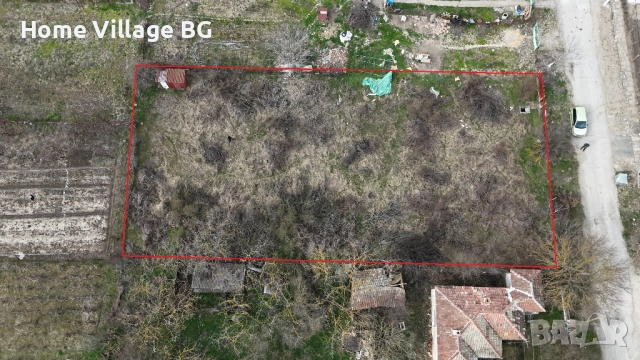 Парцел село Козлодуйци, област Добрич, снимка 5 - Парцели - 53266830